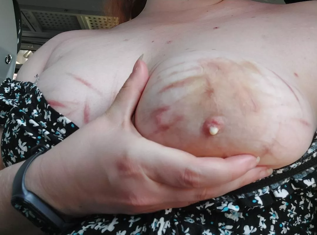 emptying those breasts in the train