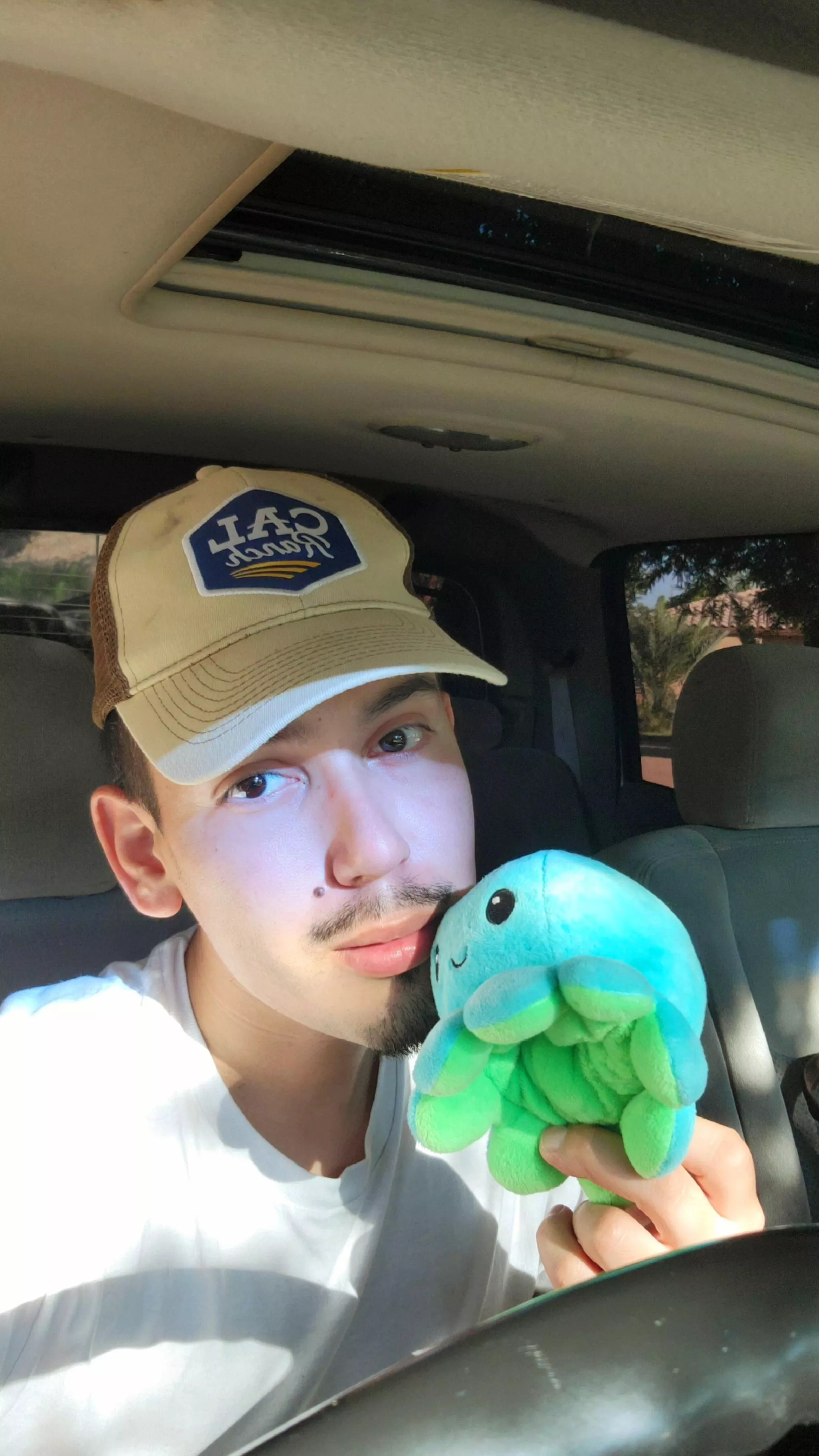 Hi!! I like plushies! ππ¨ Hi!! I like plushies! ππ¨