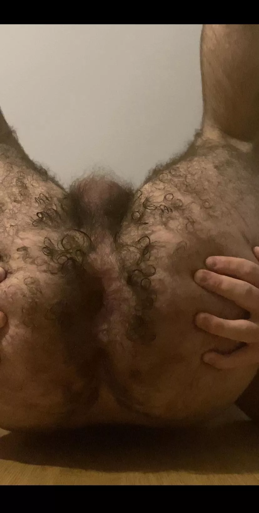 Is this what you mean by hairy?