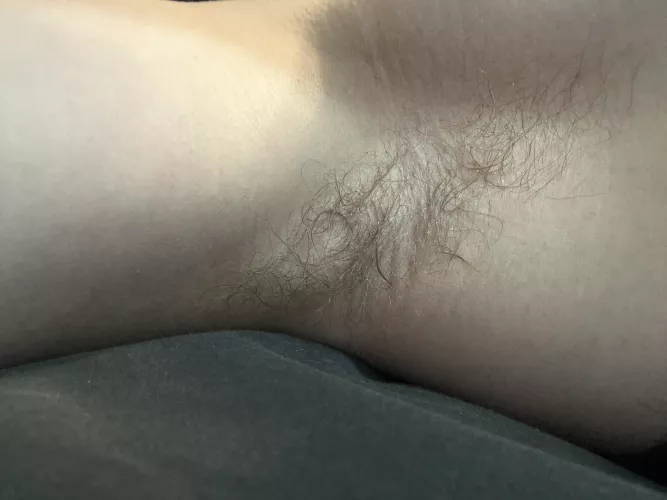 My pits are sweaty and looking for someone to cuddle it