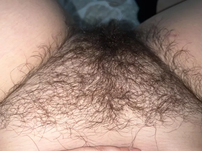Need a bf who will actually eat hairy pussy🥺