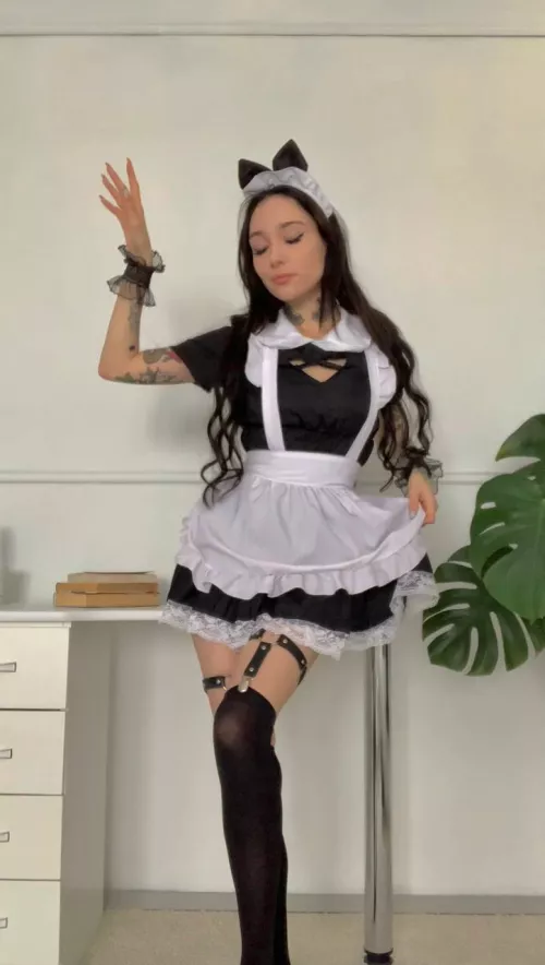 sweet kitty wants to play