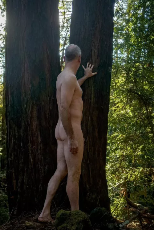 🌳Tree Pose Tuesday🌳