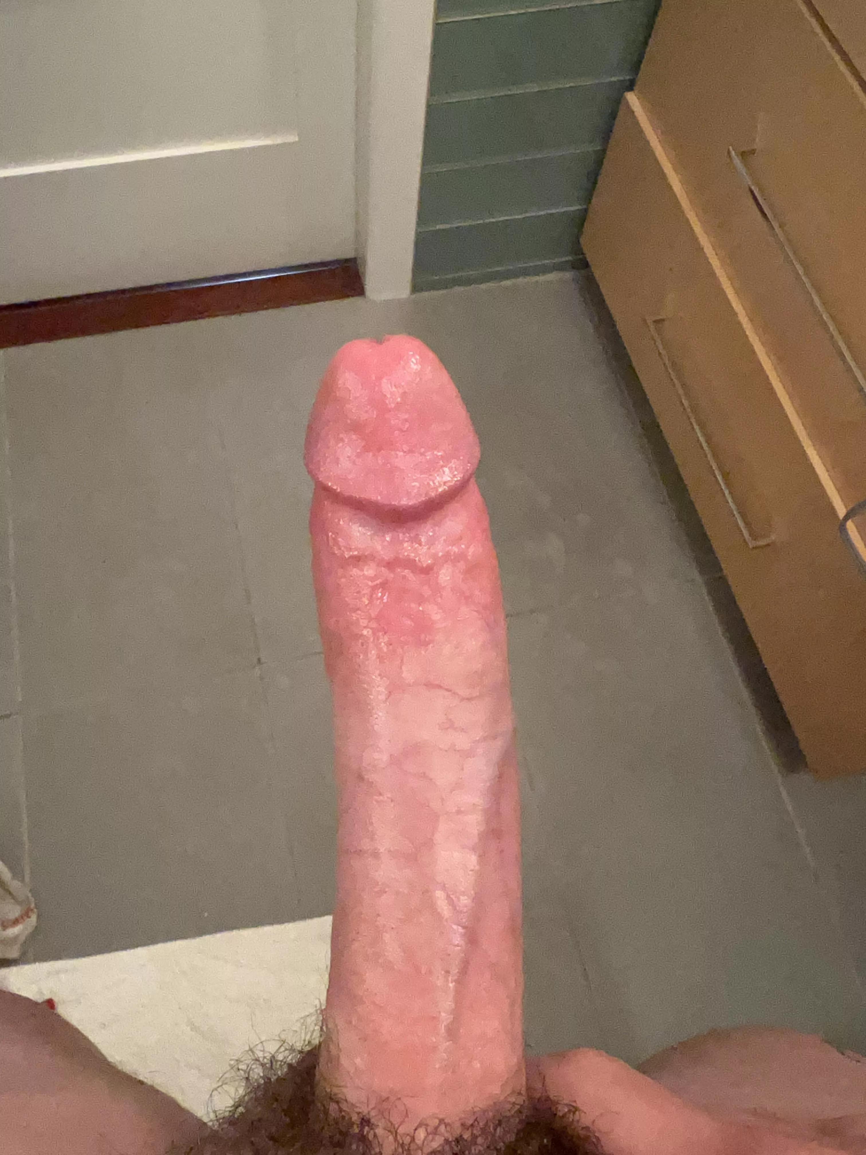 What would you do if I sent you this by accident?