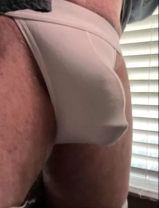 White briefs