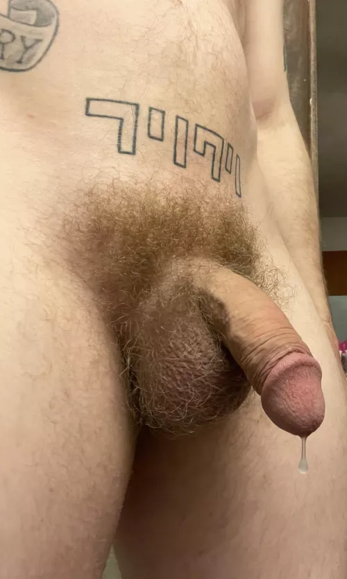 you like my hairy, leaky softie?