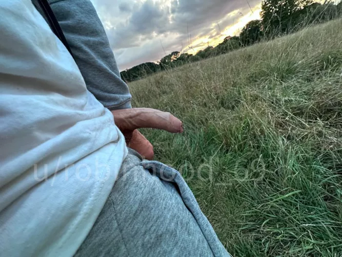 Capturing the Magic: Bird and the Setting Sun :-)