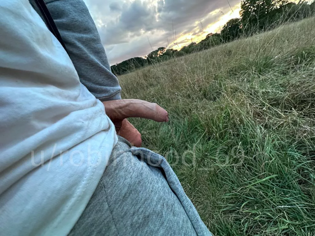 Capturing the Magic: Bird and the Setting Sun :-)