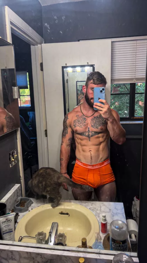 cat got your tongue?