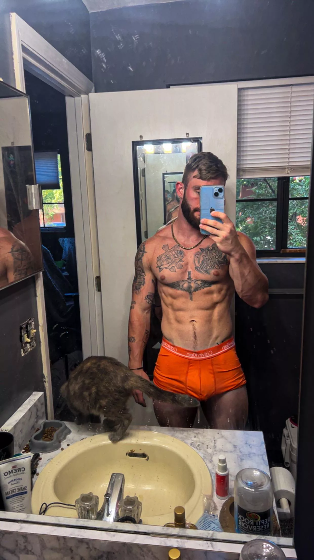 cat got your tongue?