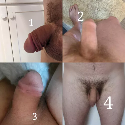 Cock compare round 3 group 2 soft. Please rank from best to worst.