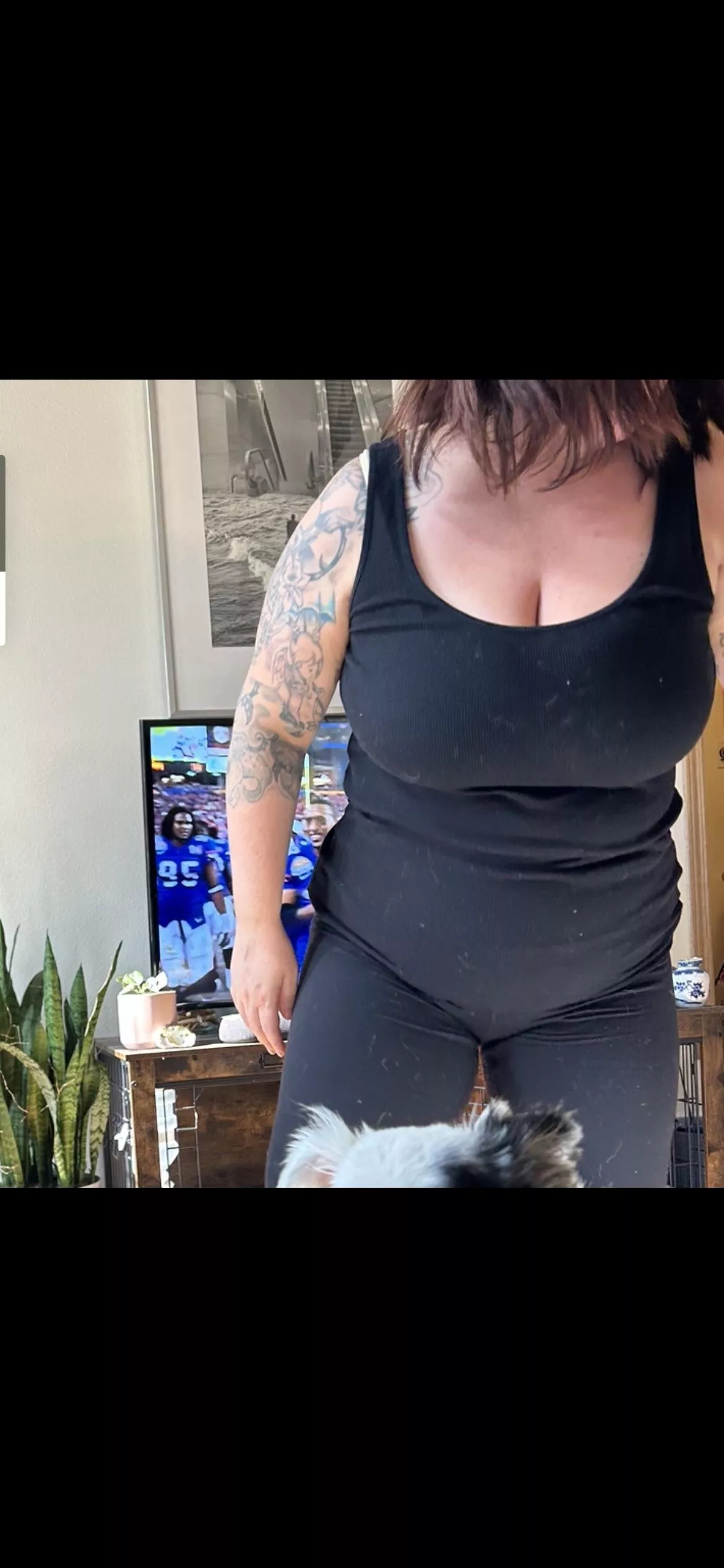 Don’t mind a couple dog hairs on the wife’s clothes. She’s got HUGE tits! 😍😍