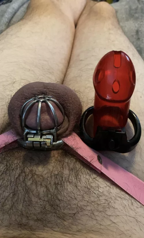 Finally went smaller