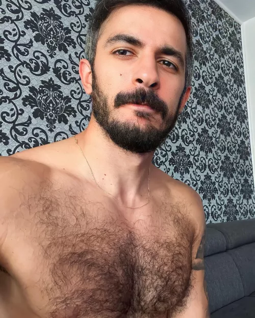 Hi gayz. 🧔🏻‍♂️