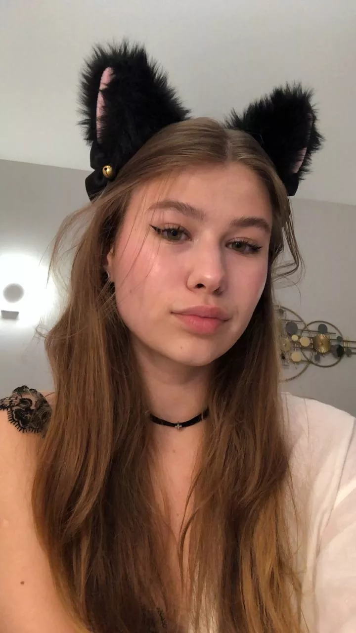 I'm just a kitty trying to purr