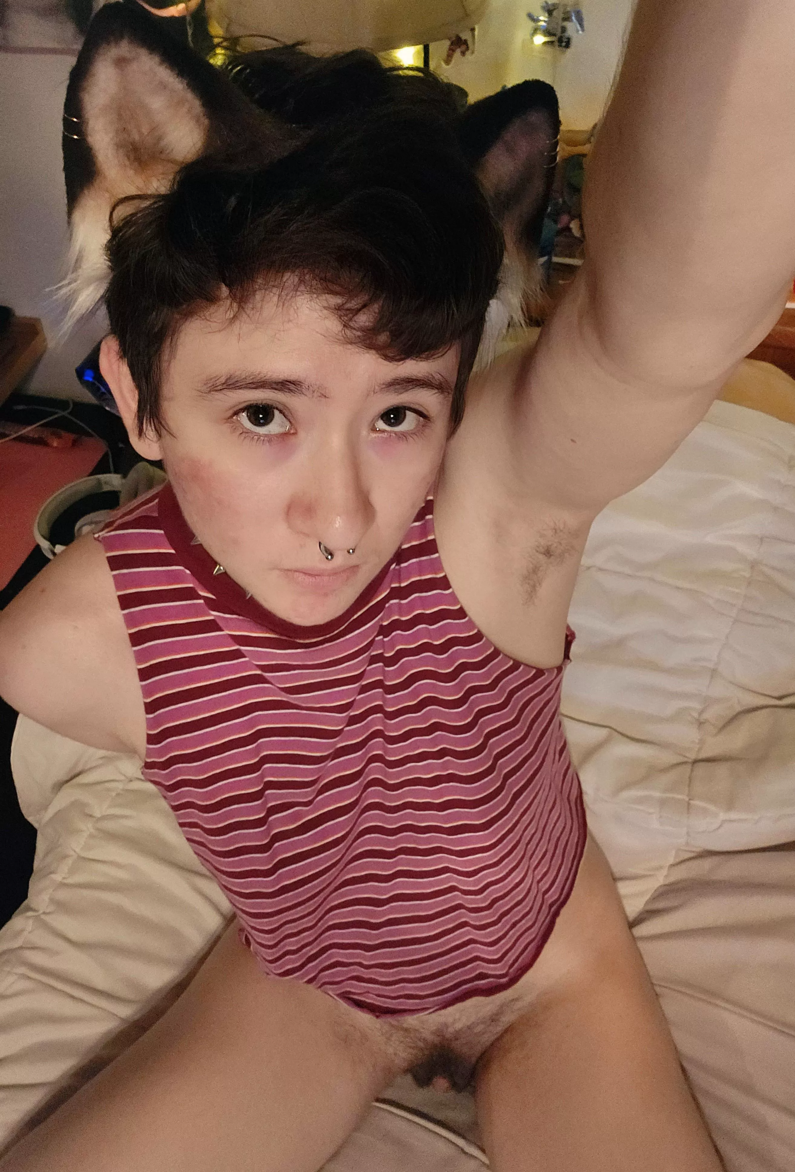 Kitties dont wear pants