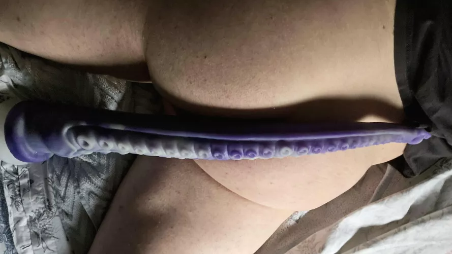 Sinnovator Dagon L is quite a step up...