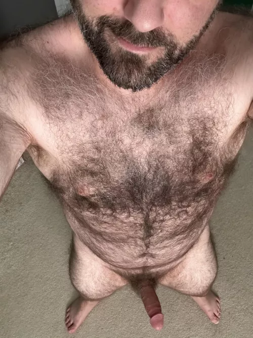 What do you think of a hairy dad bod? [41]