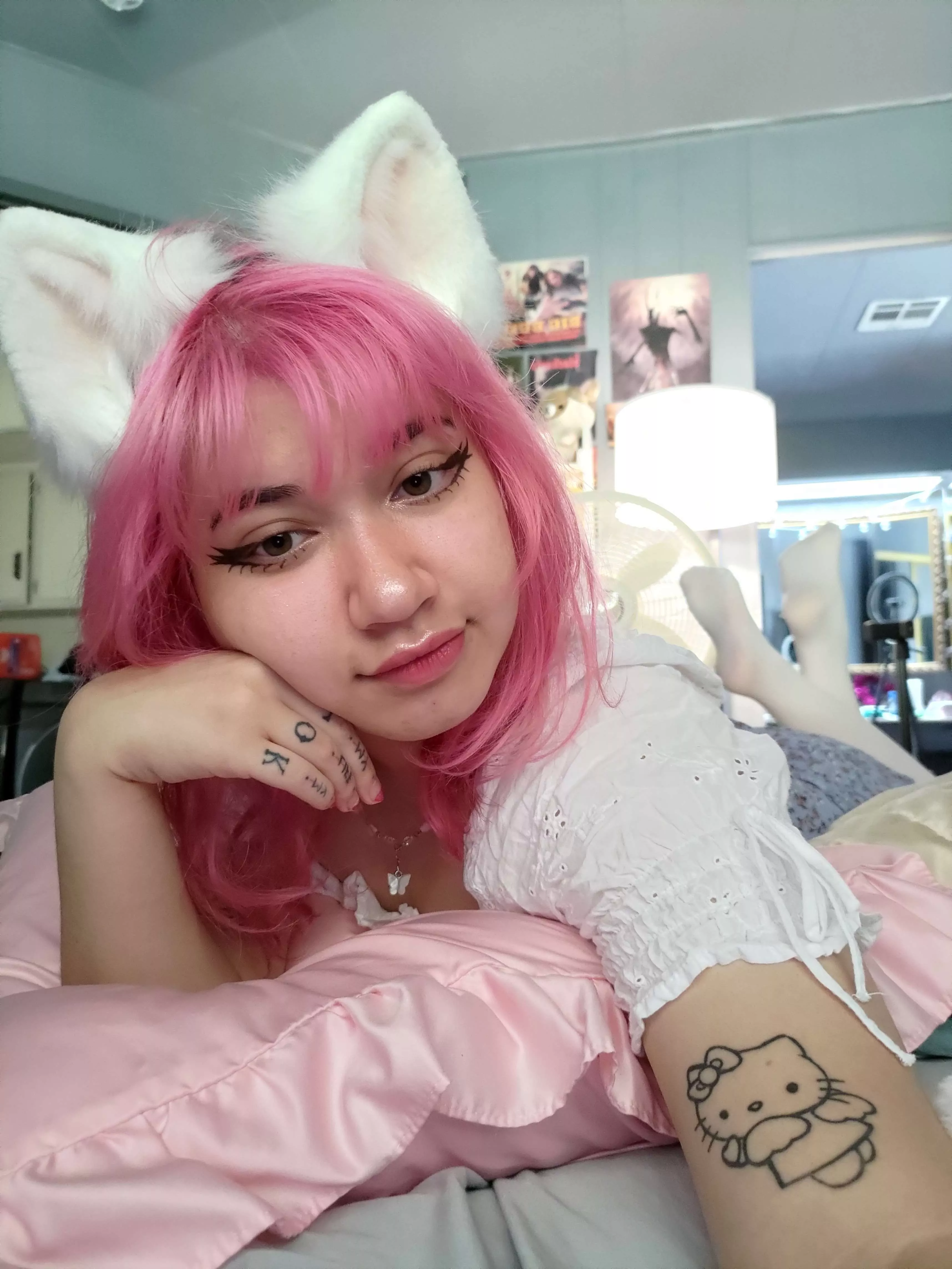 Are you a cat or dog person? 😺