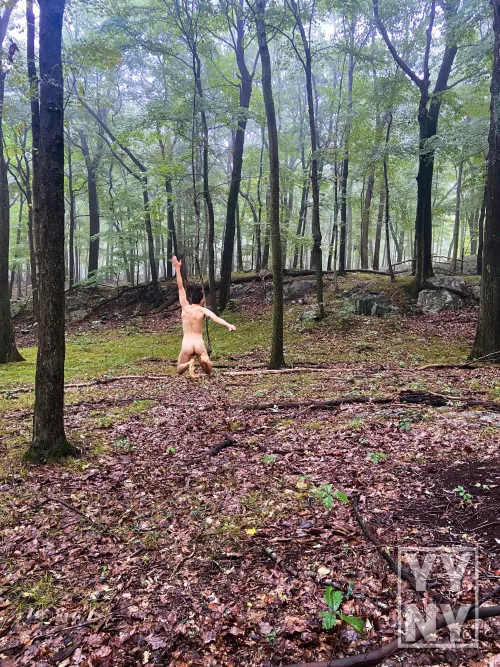 Between every two pines is a doorway to a new world. - John Muir