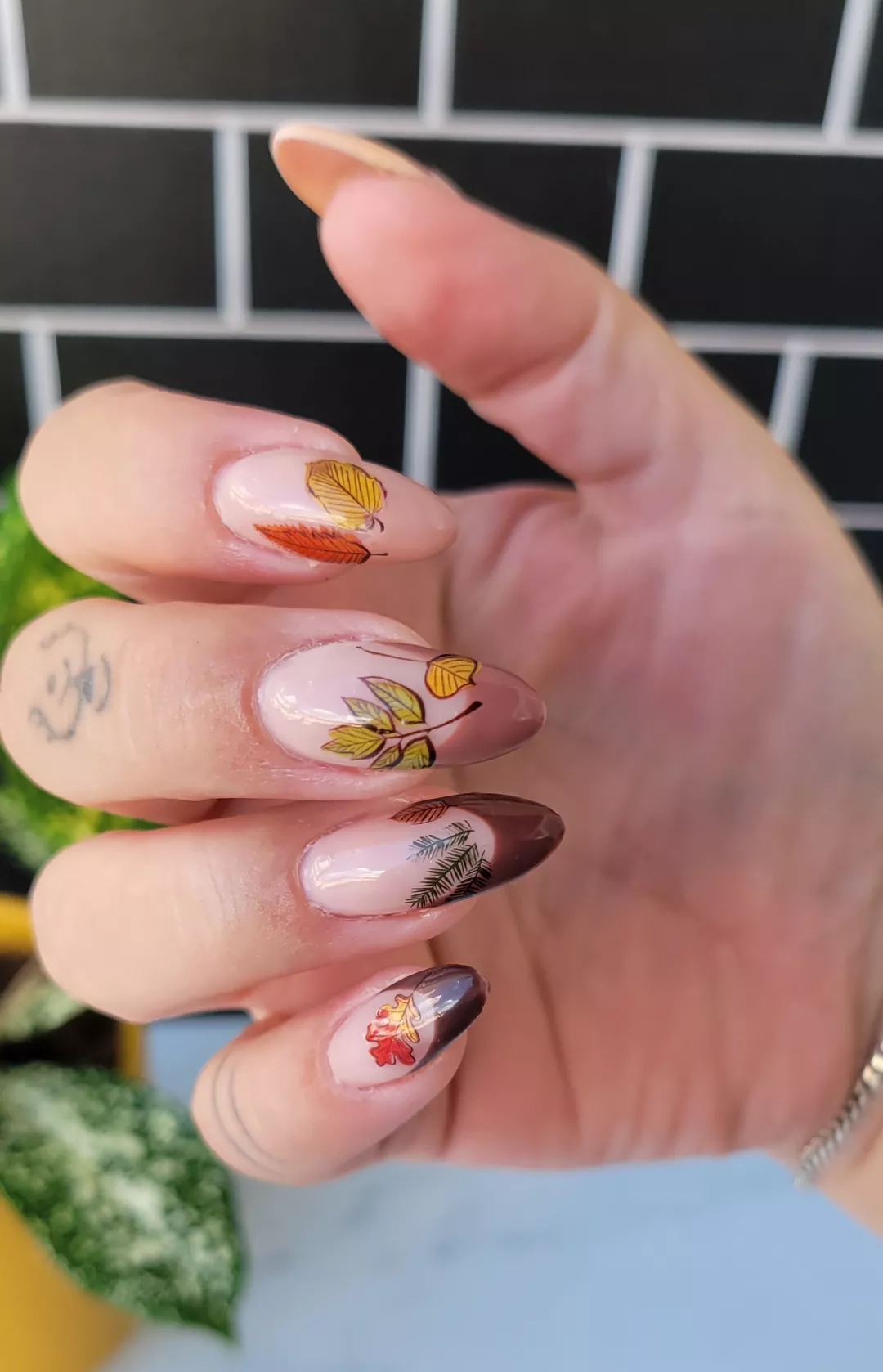 Fall is my favorite 😍