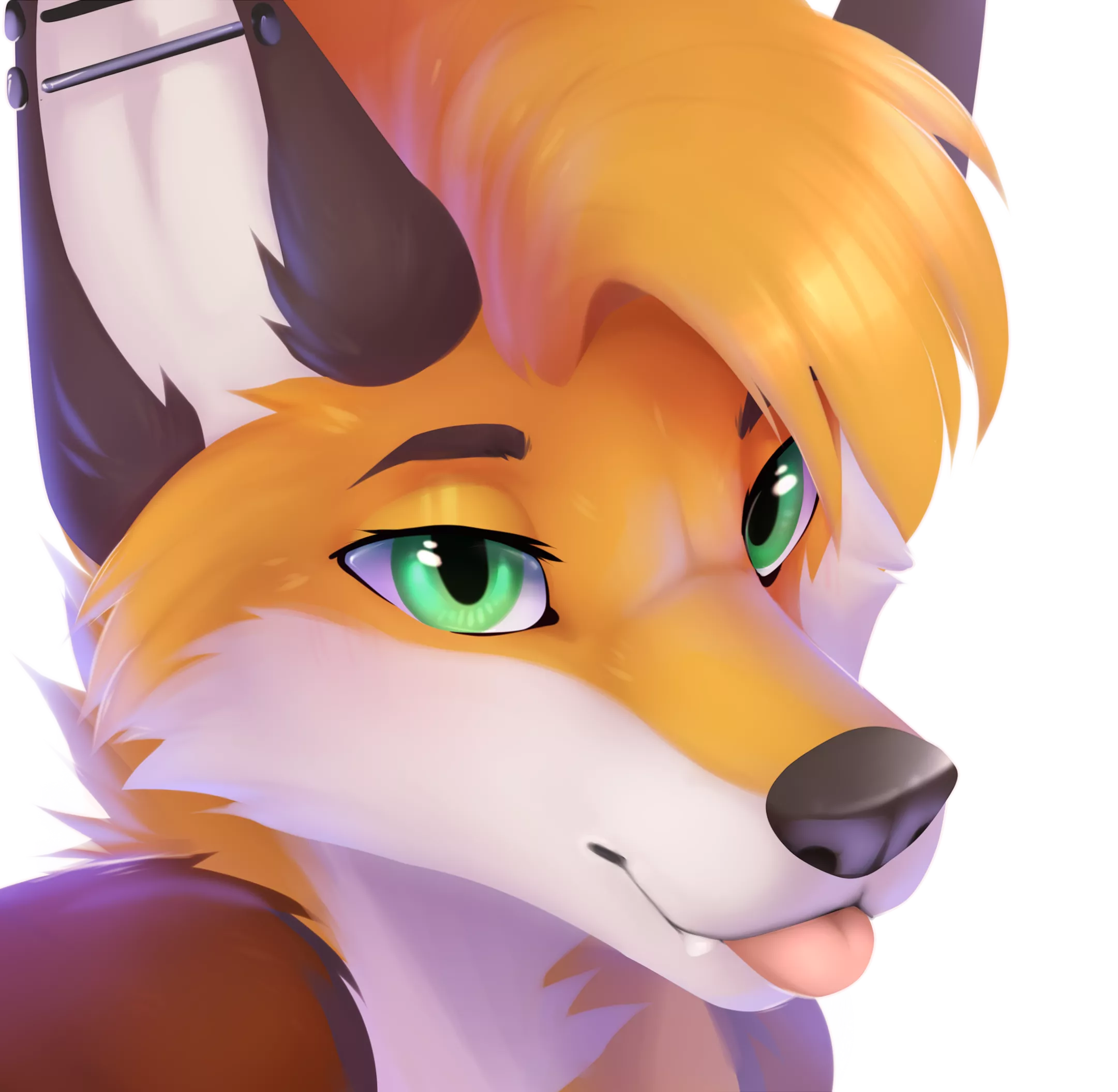 Foxiex(Art by Miraoff)