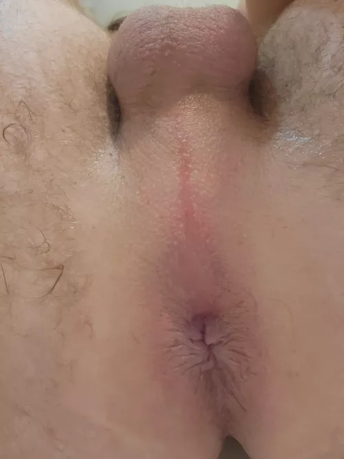 Freshly Shaven and ready for play.