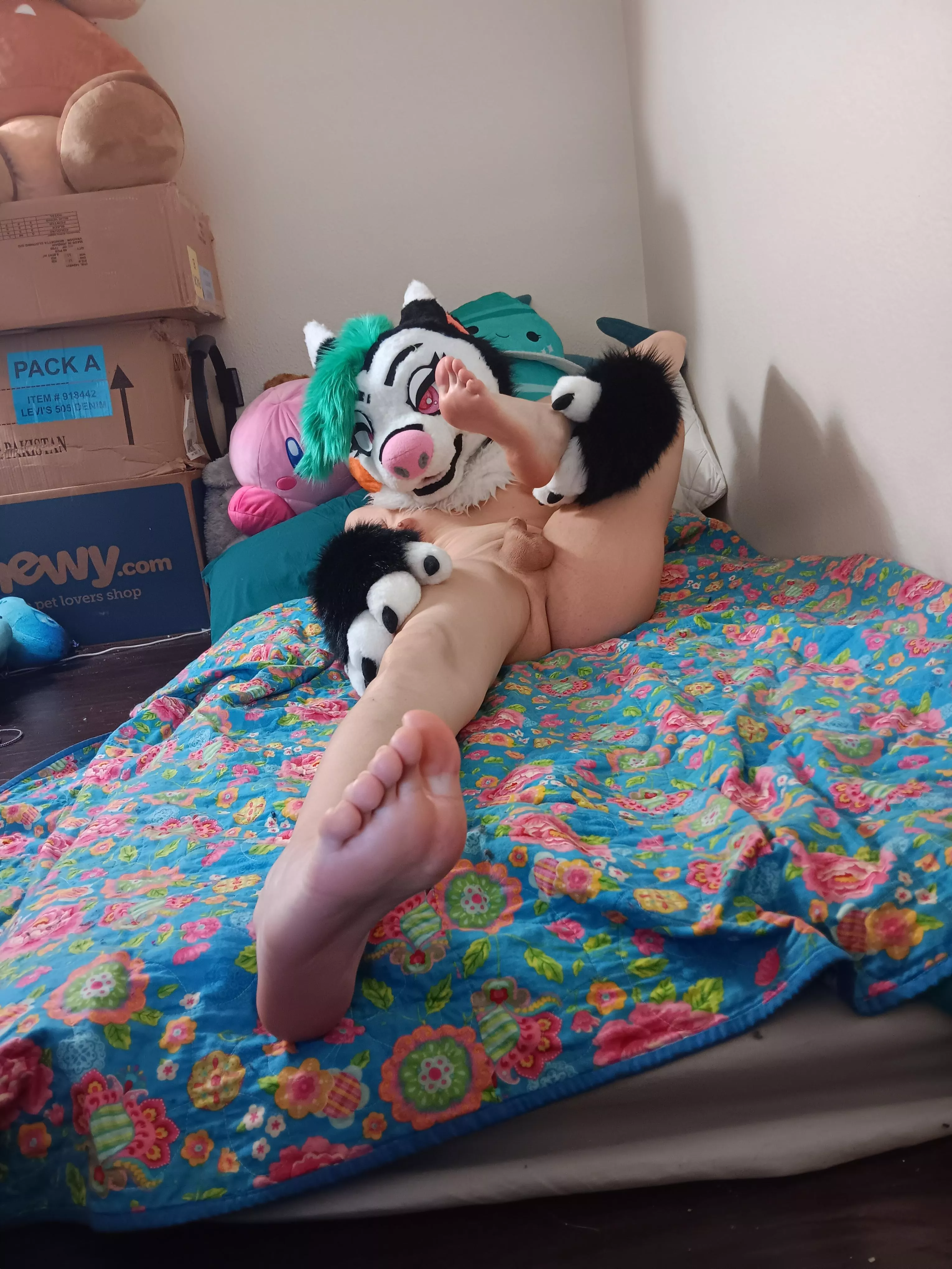 Geez, calm down! See? Feet~