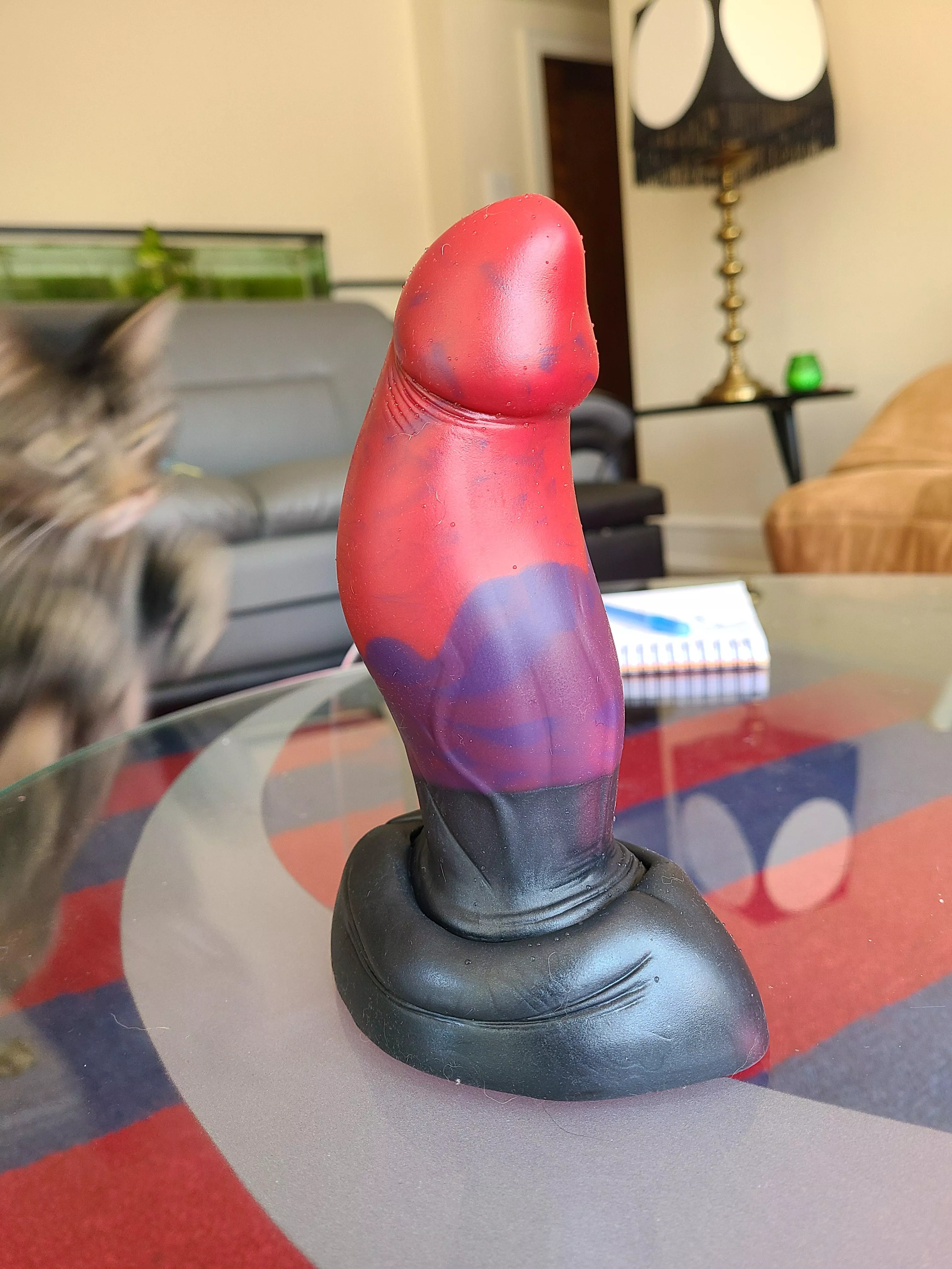 Gorgeous Frankenpour! M/M Blaze (about to be covered in cat hair)