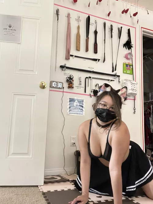 how hard will you pull my collar as i go down on you 🤤