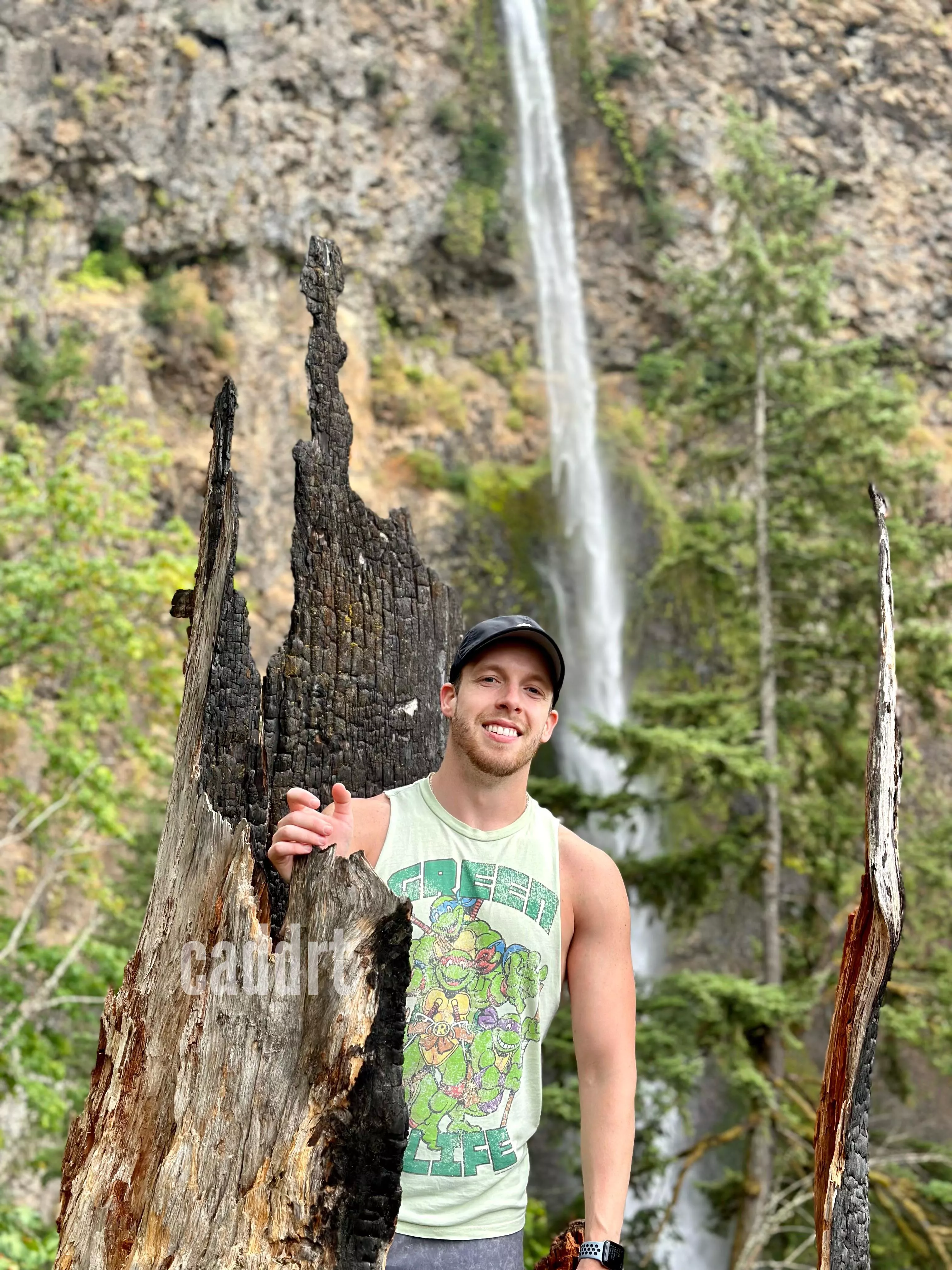 just me in a tree 🌲