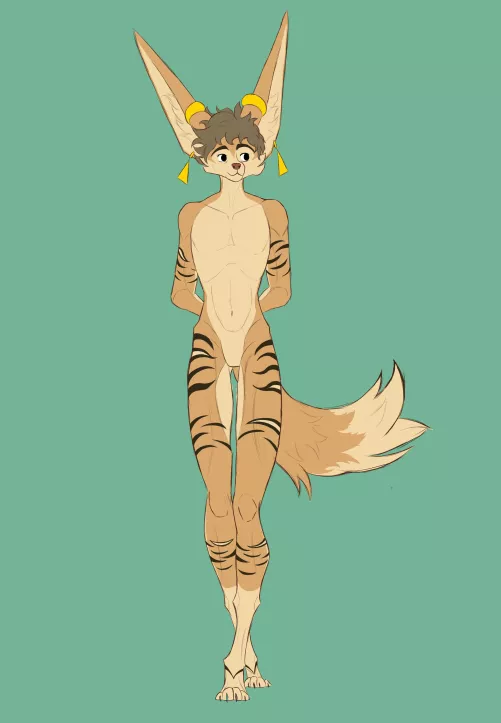My Fennec again!