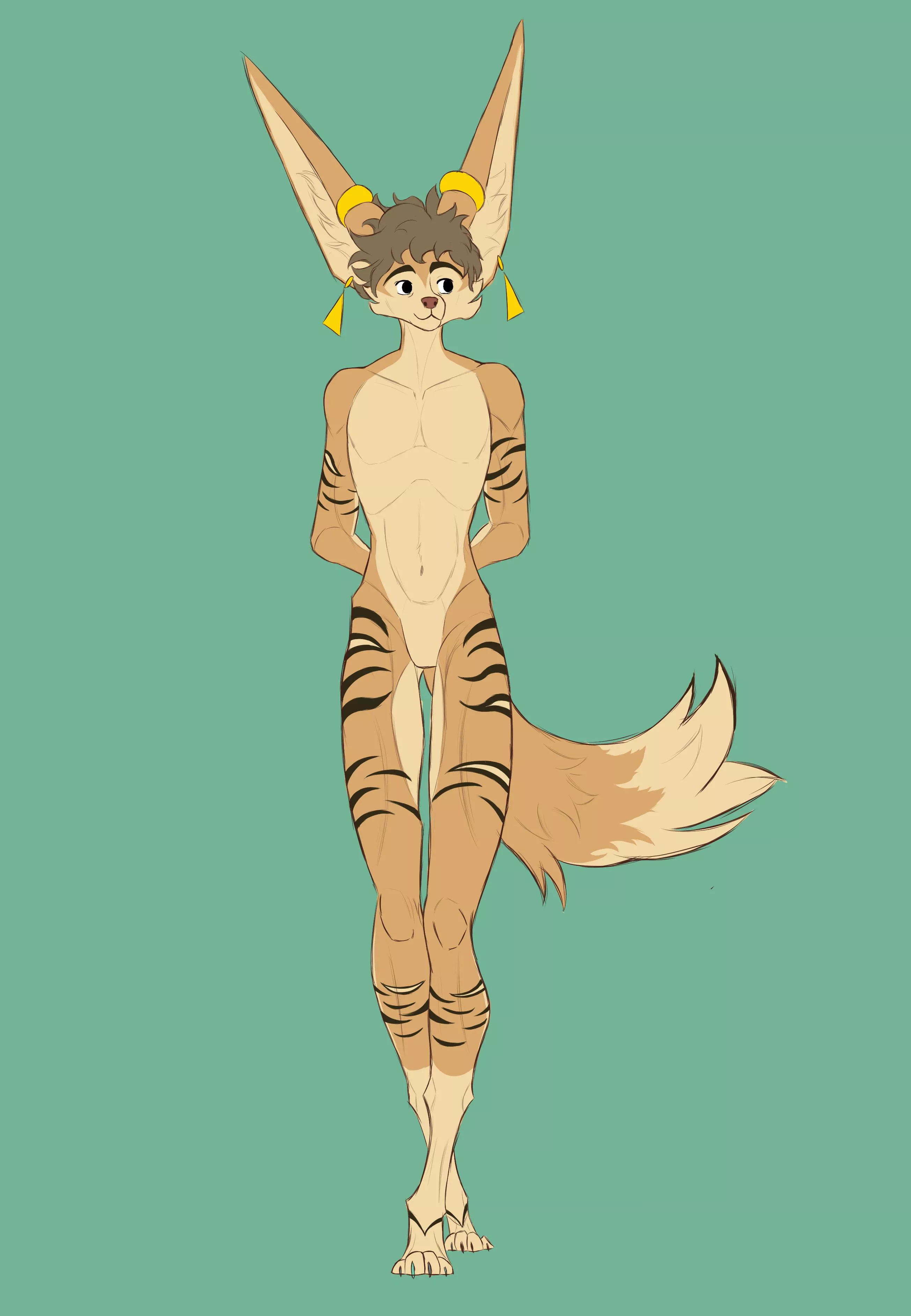 My Fennec again!