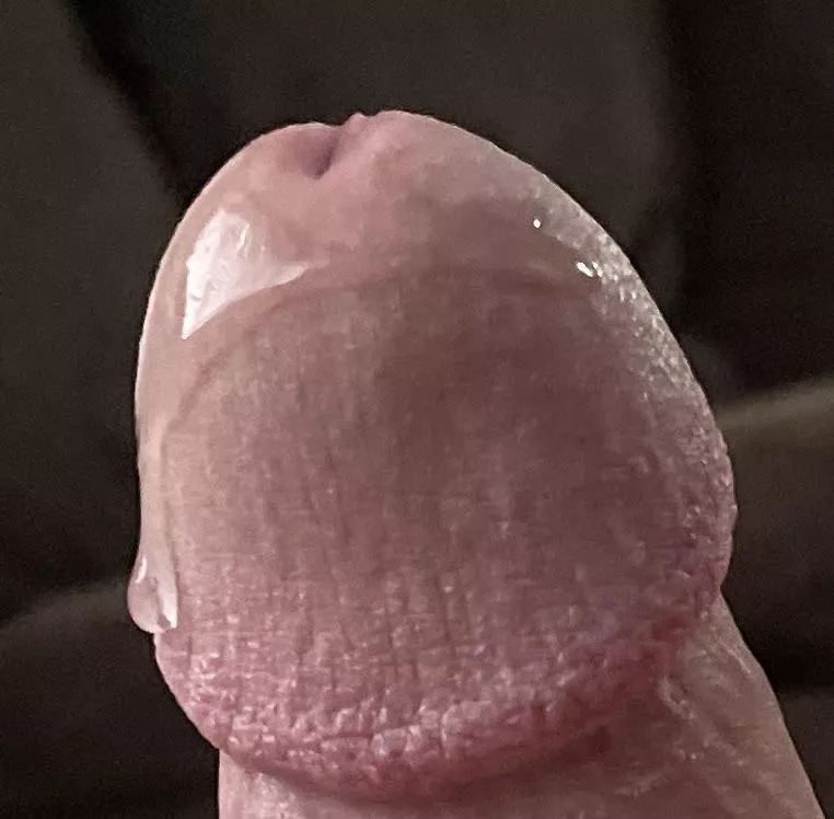 Realized this might get appreciated here