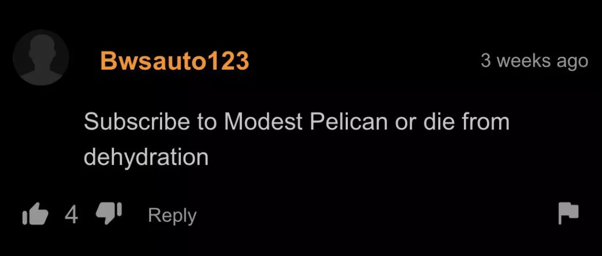Sub to modest pelican