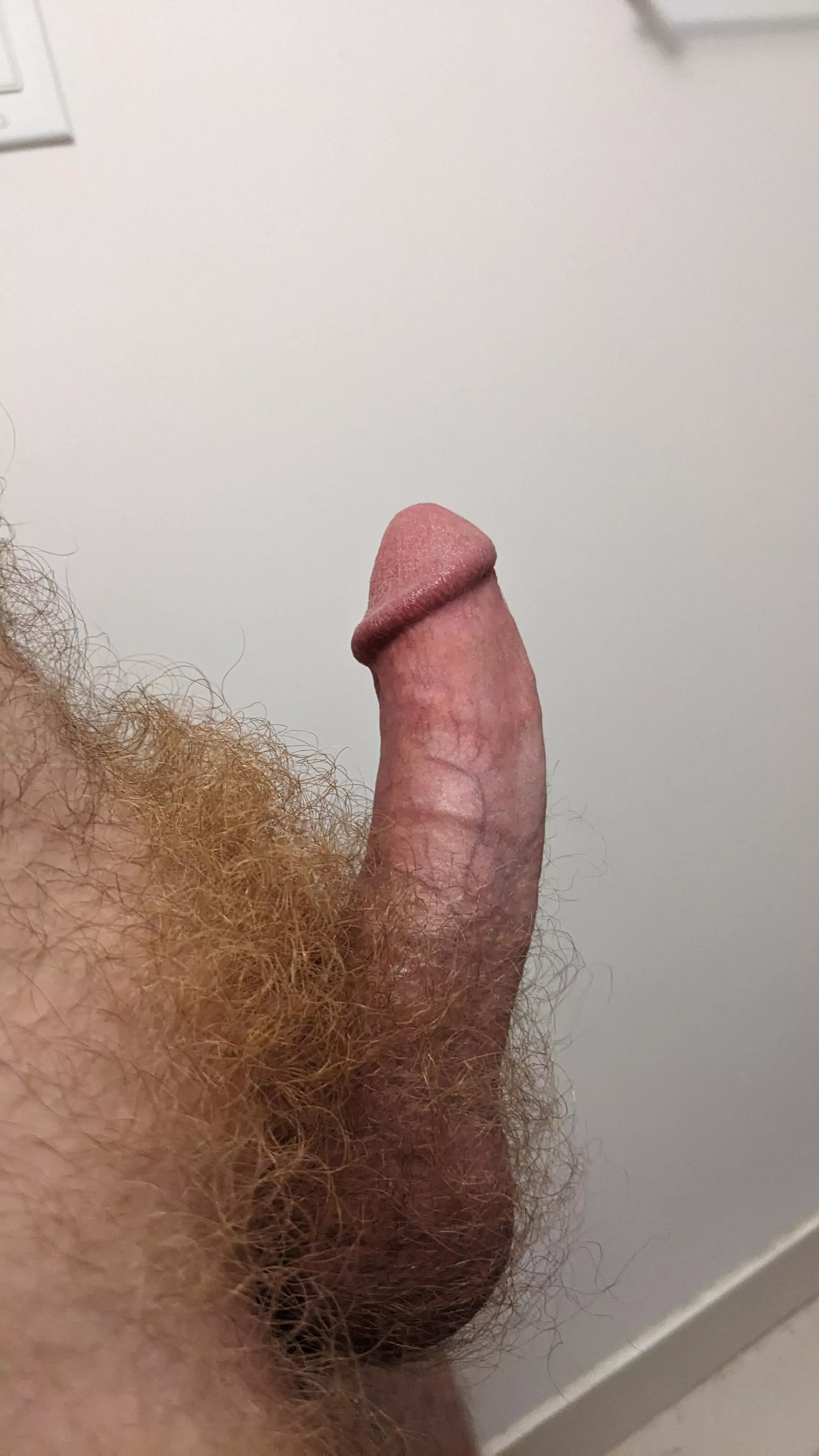 Yeah, I've got pubes...