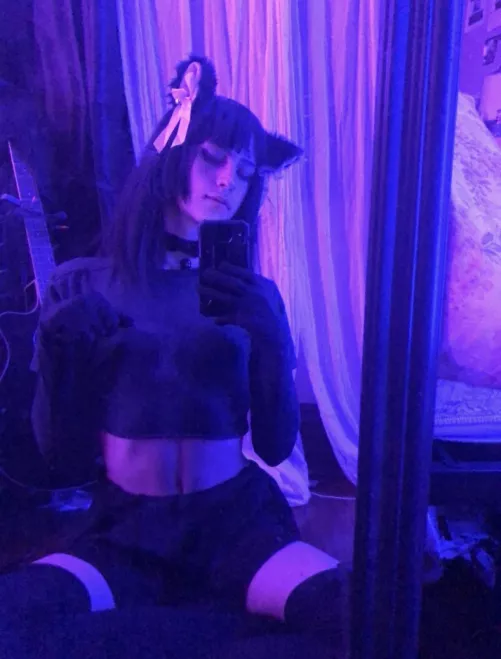 are you a cat person? 😽