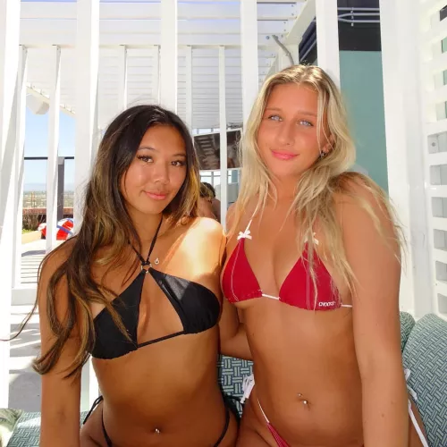 Asian or blonde