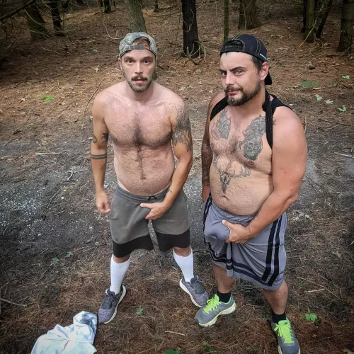 Bearded bears in the woods