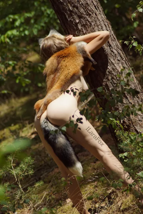 Bringing your pet outside strengthens the bond