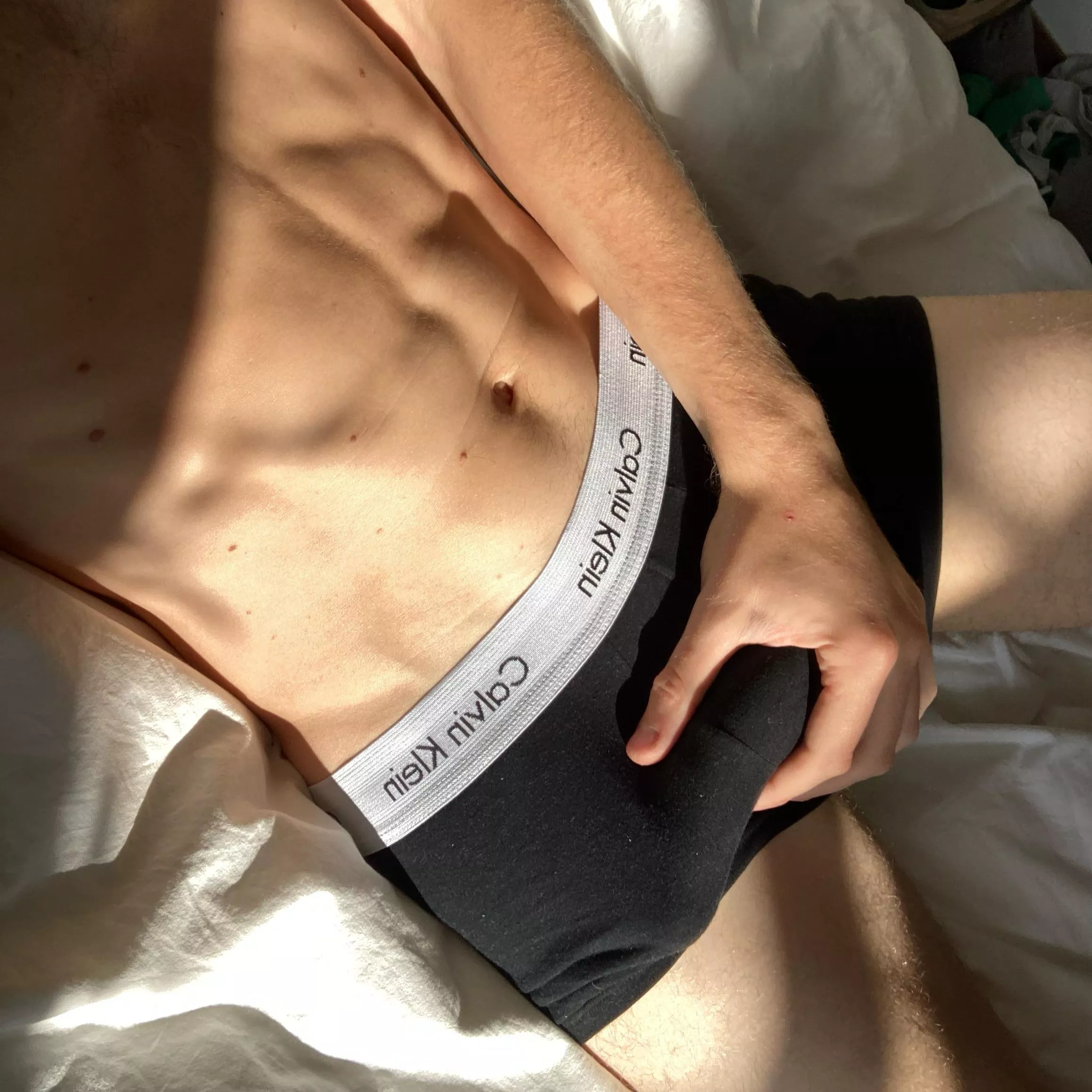 calvins in the sun