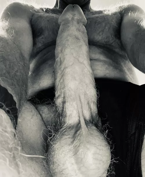 Heavy load ahead (54)