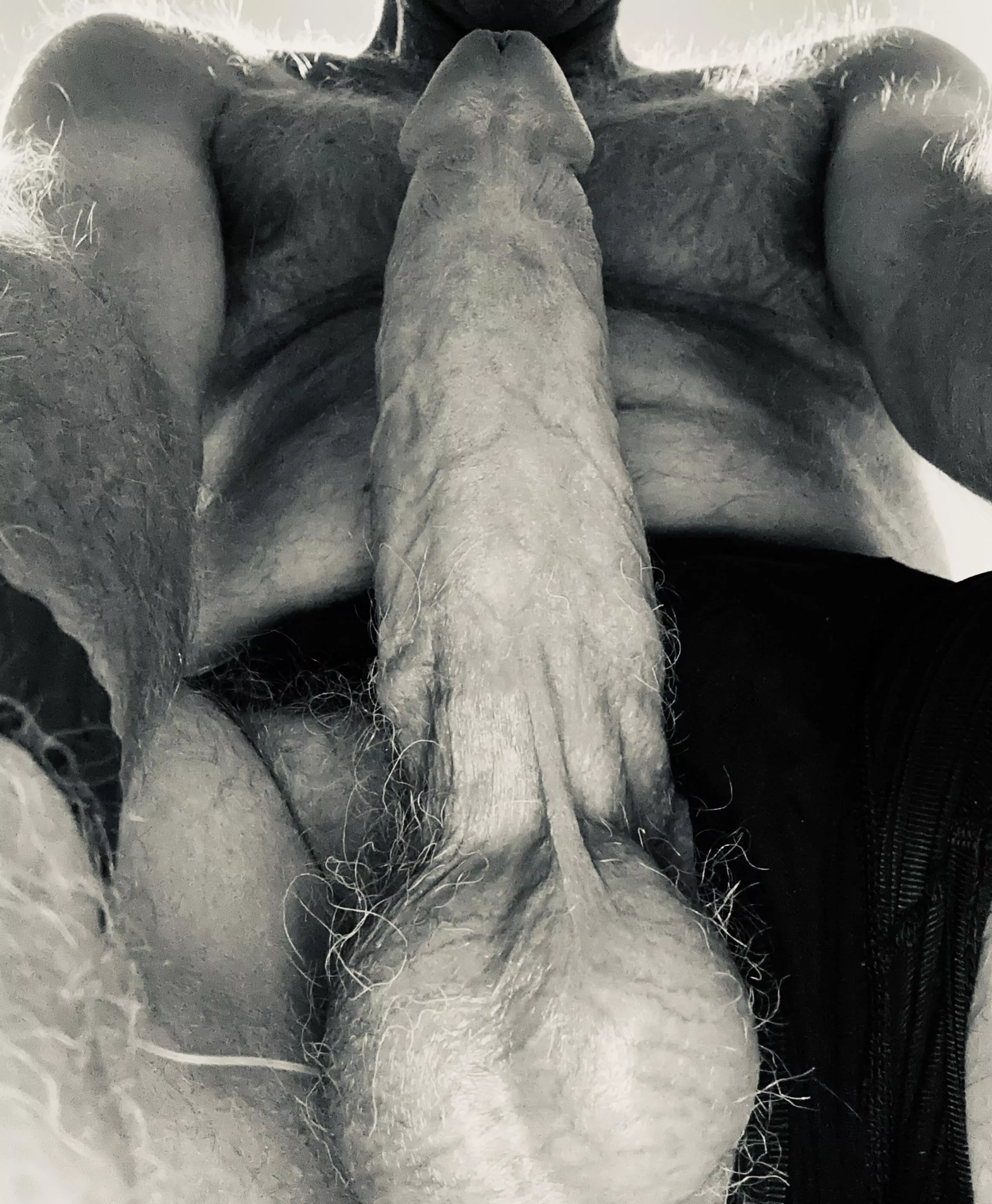 Heavy load ahead (54)