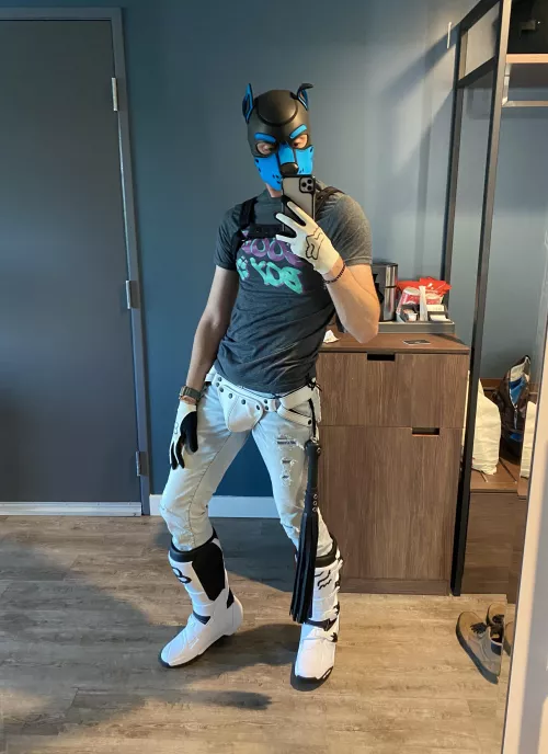 Hello again Reddit *Boop*