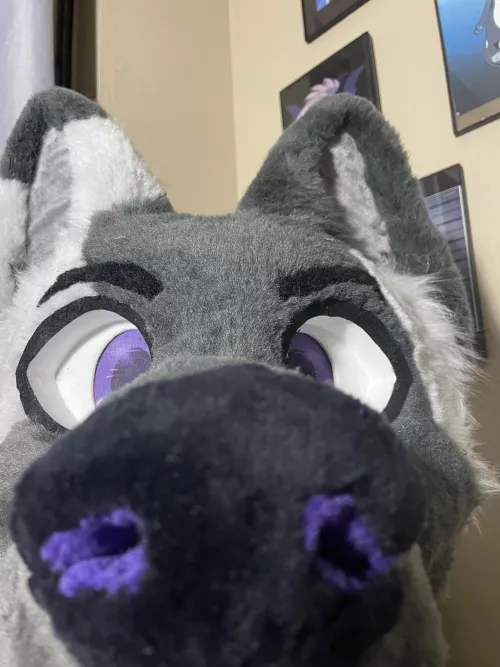 *sniff* checking ya vibes