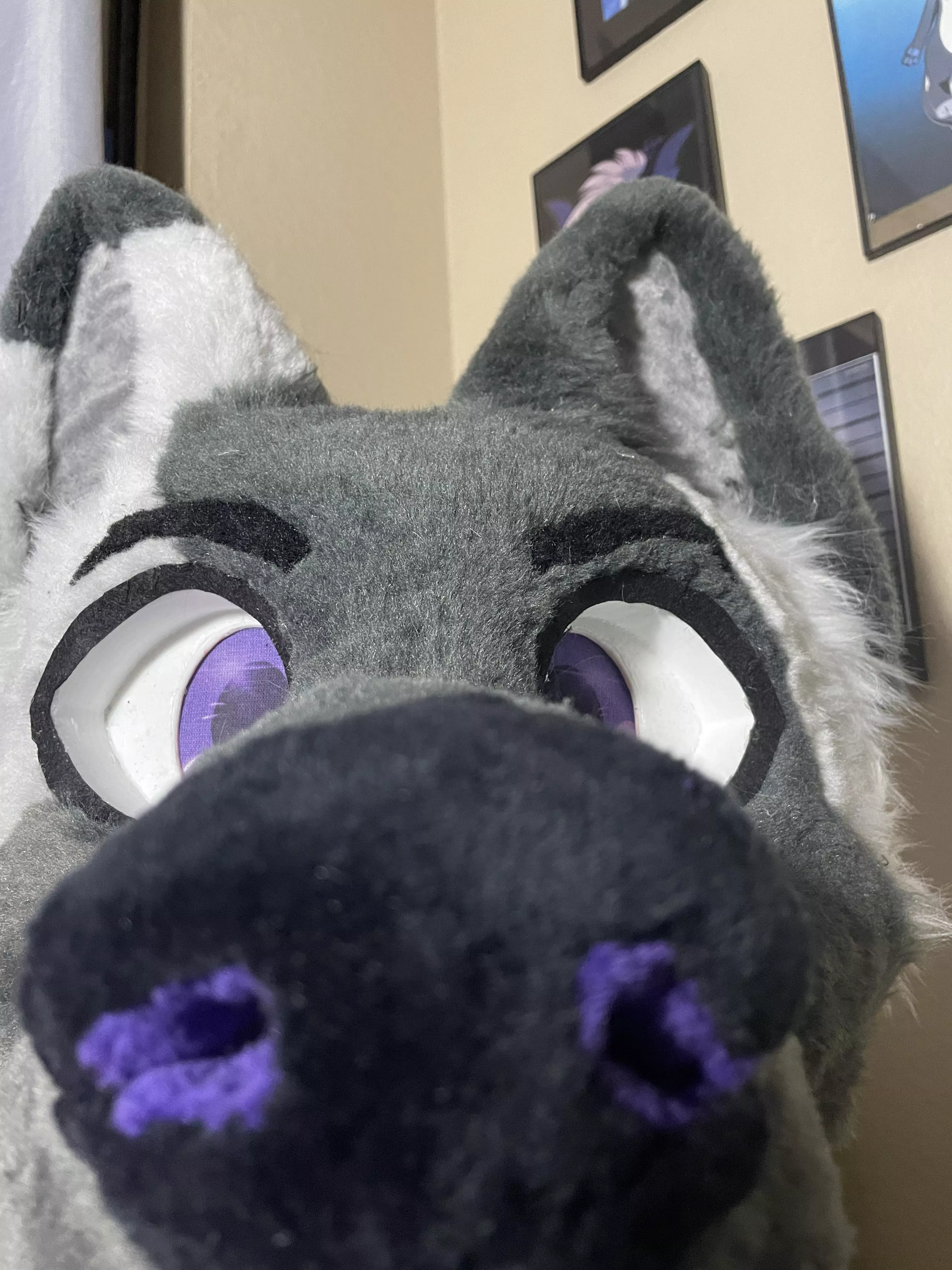 *sniff* checking ya vibes