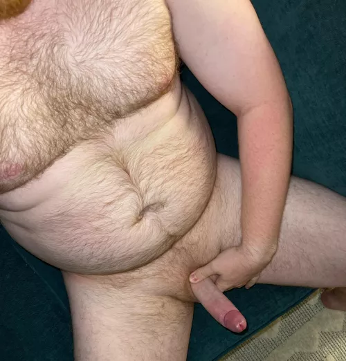 What’s would you do with this British ginger?