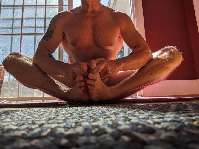 (58) sunshine butterfly