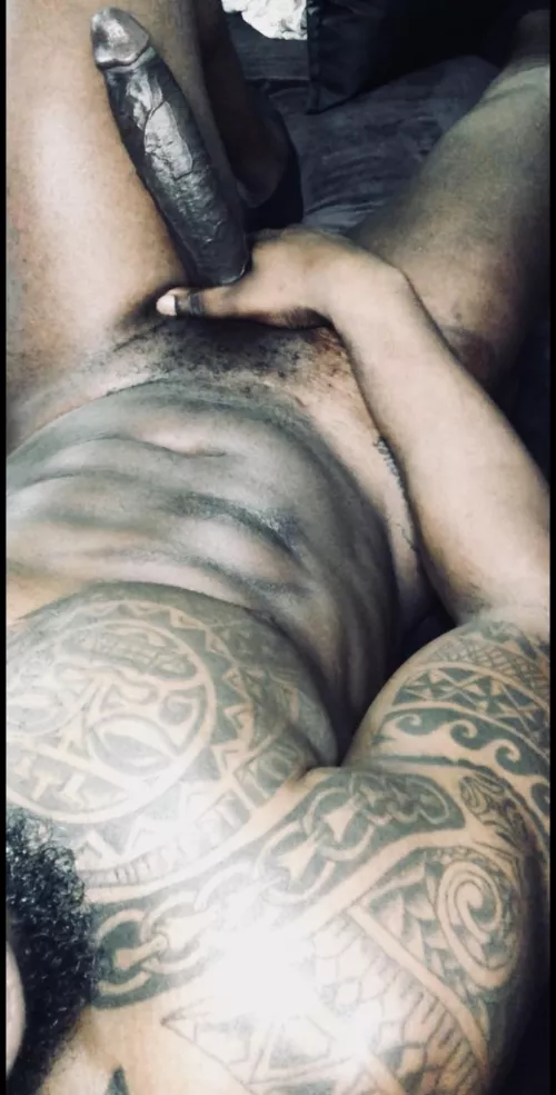 Come play with a Bull instead