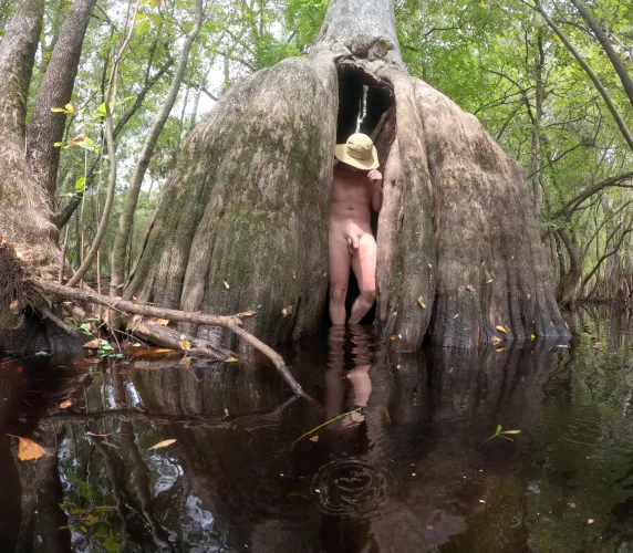 Escaping from the cave